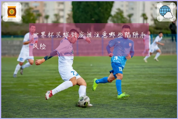 世界杯买球到底该注意哪些陷阱和风险